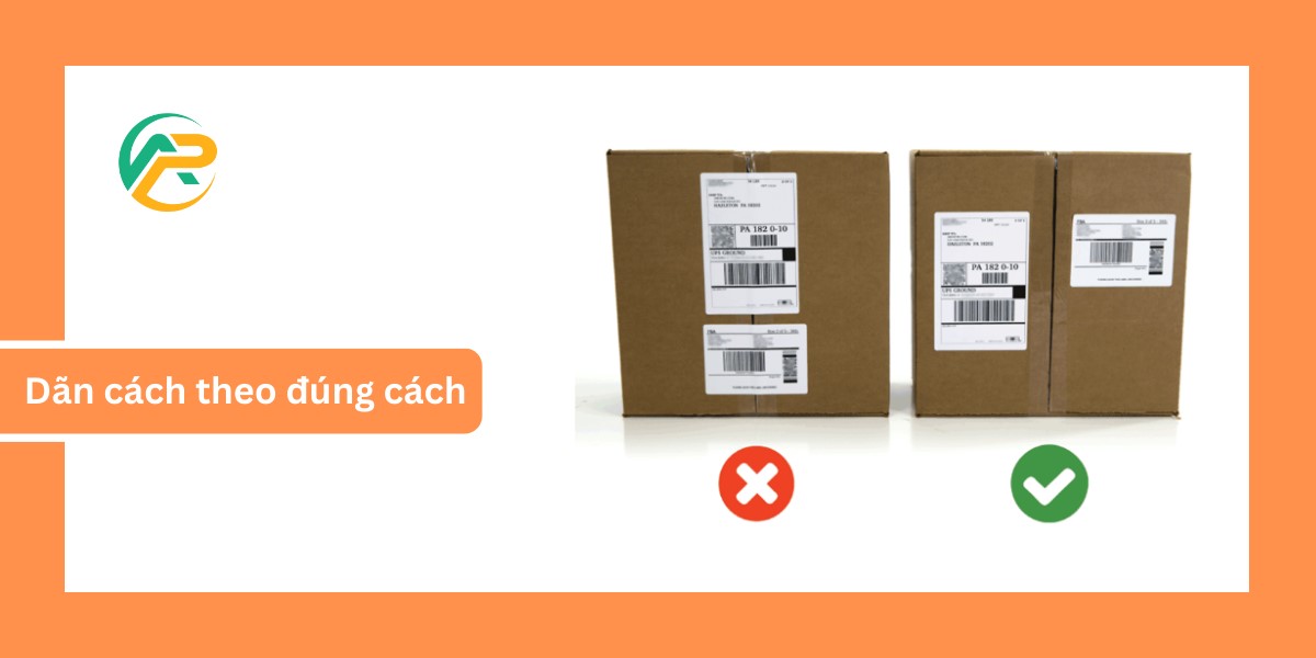 Ship hàng đi Mỹ và những lưu ý cần thiết