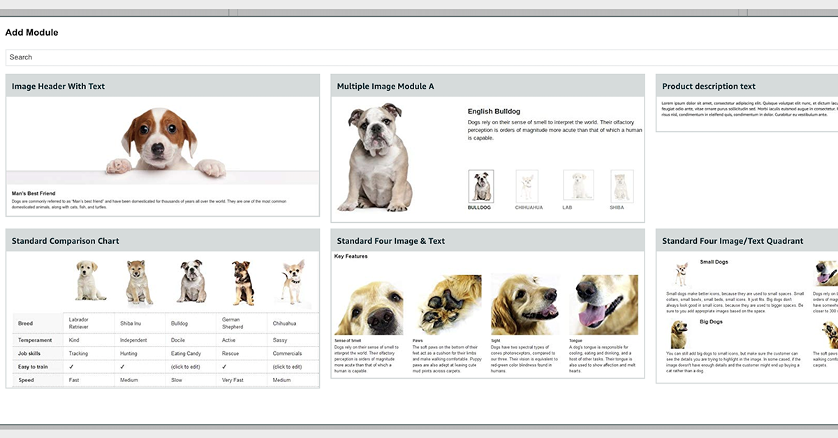 Cách tạo content A+