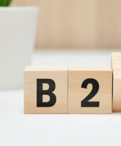 thương mại điển tử b2c